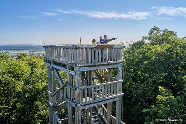 Der Aussichtsturm bei Markt Bibart ist zu sehen.